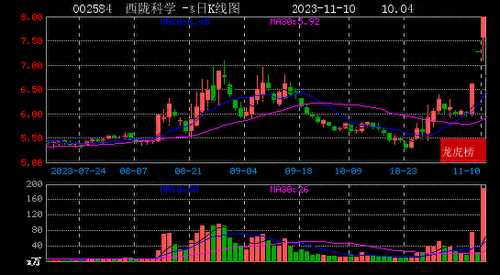 2023年11月10日小鳄鱼现身西陇科学 豪美新材 金太阳