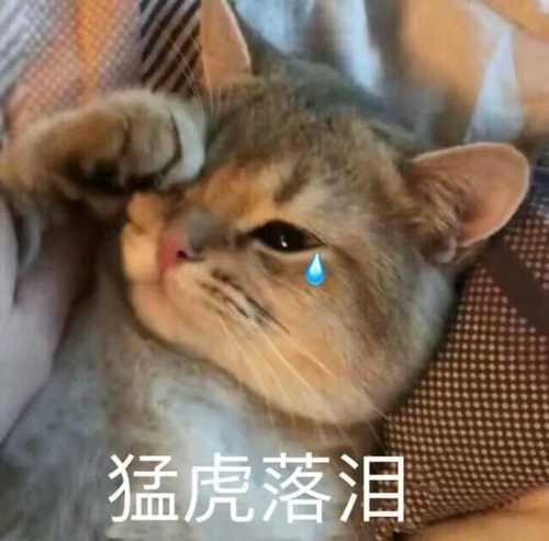 “猛男必看”，一天到晚看的究竟是什么东西？