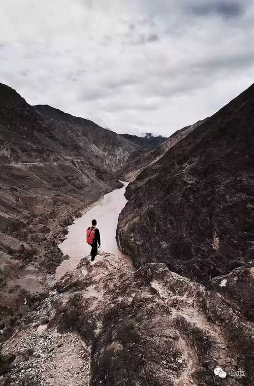 《一路向西》开启网络直播